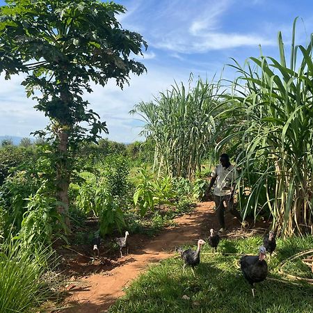 Rutete Eco Lodge Rwinkwavu Ngoại thất bức ảnh