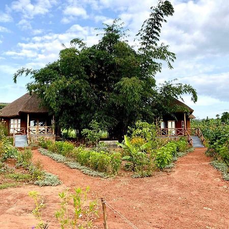 Rutete Eco Lodge Rwinkwavu Ngoại thất bức ảnh