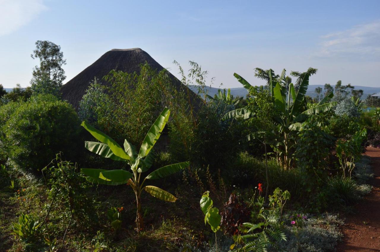 Rutete Eco Lodge Rwinkwavu Ngoại thất bức ảnh