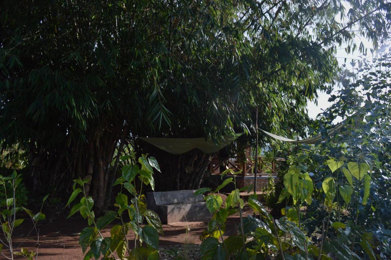 Rutete Eco Lodge Rwinkwavu Ngoại thất bức ảnh
