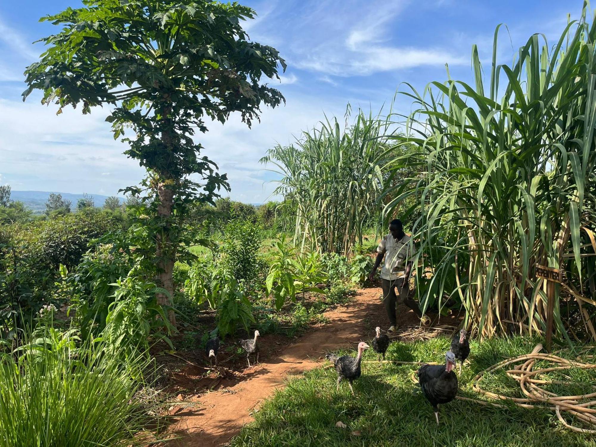 Rutete Eco Lodge Rwinkwavu Ngoại thất bức ảnh
